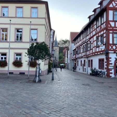 A.M.C. Ferienwohnung Karlstadt Εξωτερικό φωτογραφία